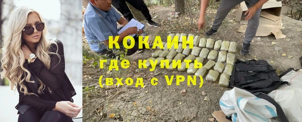 винт Кадников